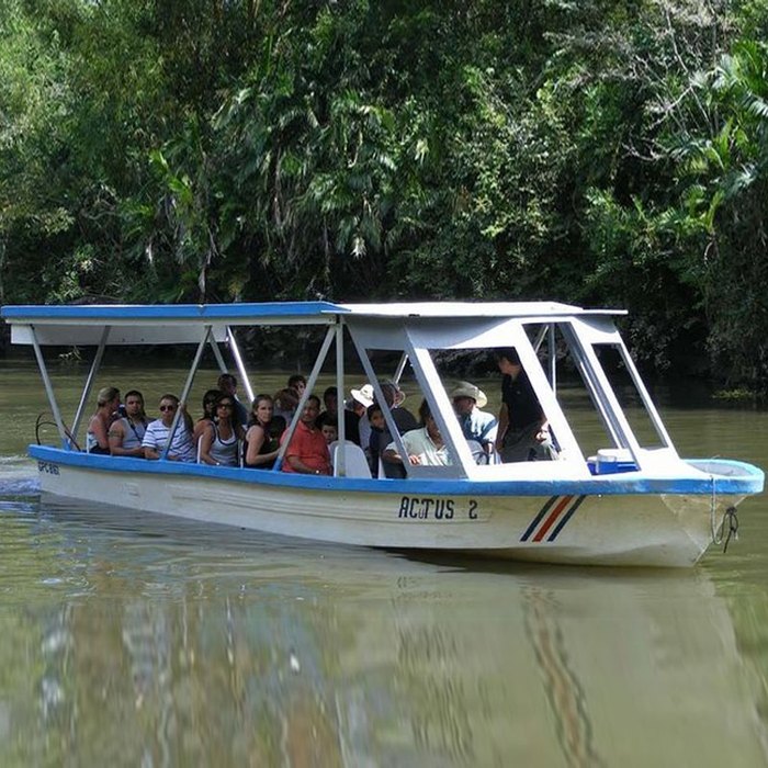 FRP Speed Boats