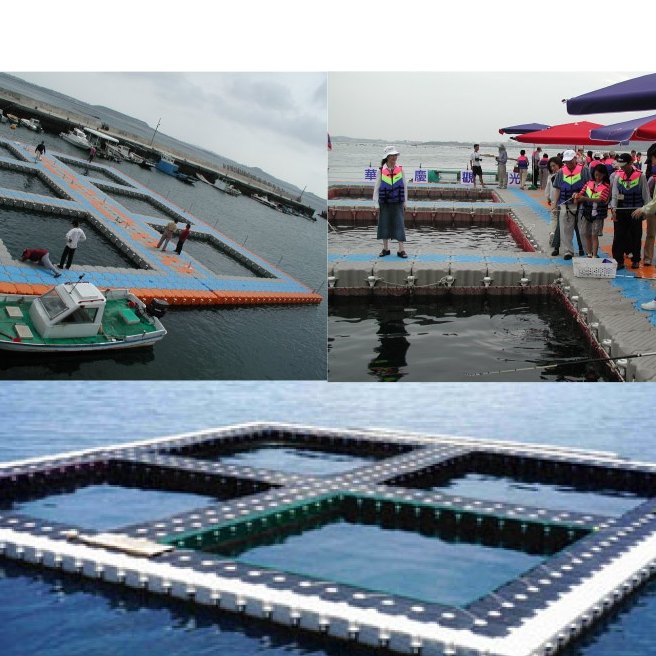 Floating Bridge